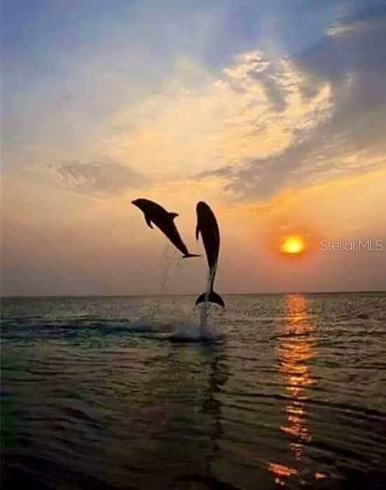 TUSCAN LAKES - Residential