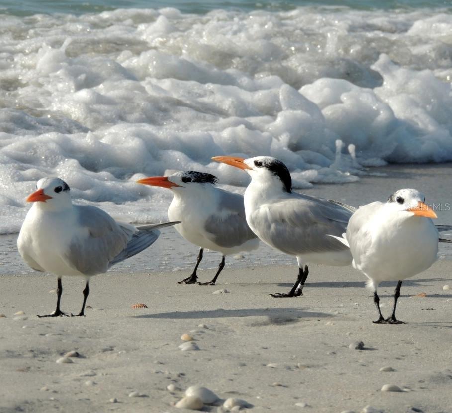 TUSCAN LAKES - Residential