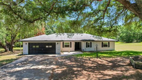 Photo of 17373 SE 130th Avenue, Weirsdale, FL 32195 (MLS # G5112110)