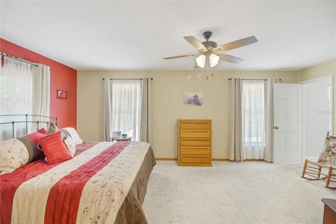 Tiny photo for 17373 SE 130th Avenue, Weirsdale, FL 32195 (MLS # G5112110)