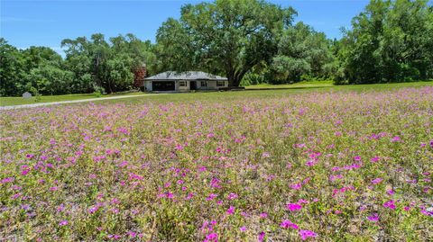 Tiny photo for 17373 SE 130th Avenue, Weirsdale, FL 32195 (MLS # G5112110)