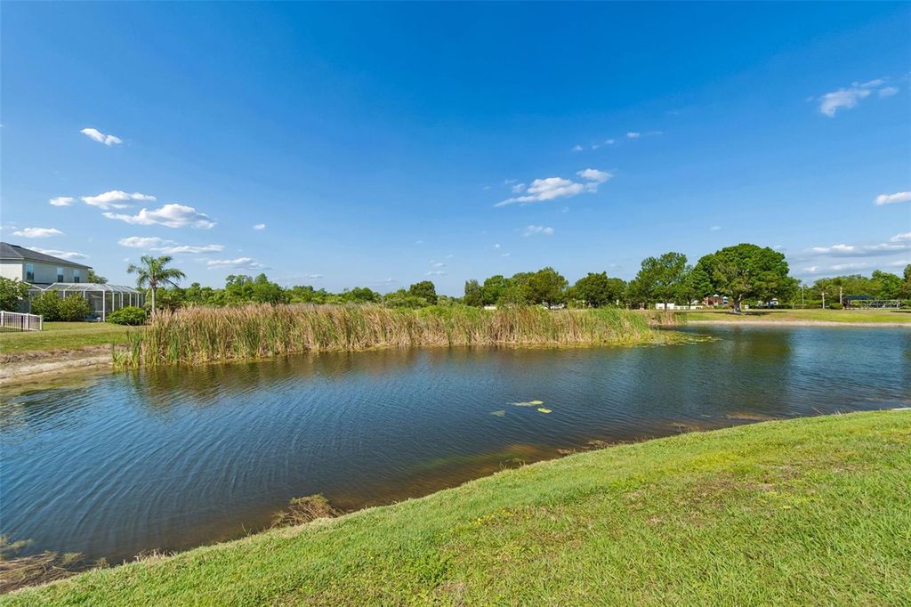 Photo of 9515 Simeon Drive, Land O Lakes, FL 34638 (MLS # TB8487207)