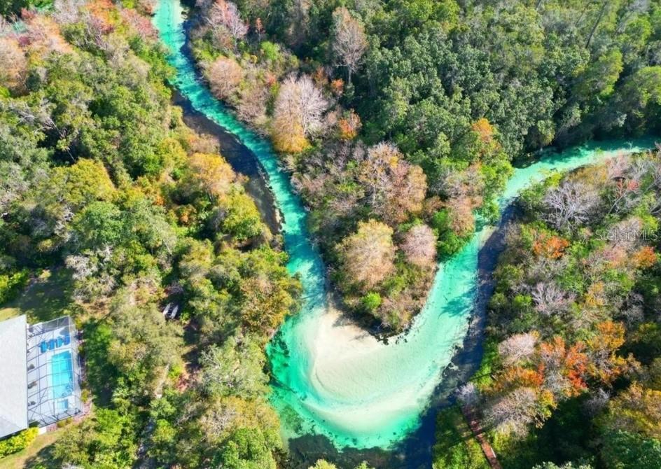 WATERS OF WEEKI WACHEE - Land