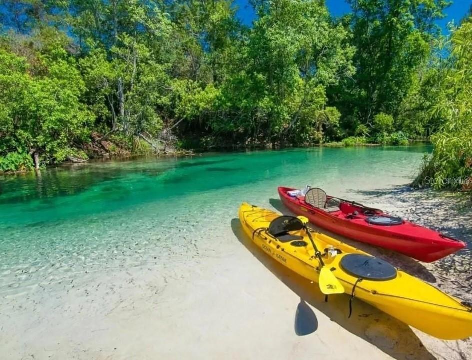 WATERS OF WEEKI WACHEE - Land