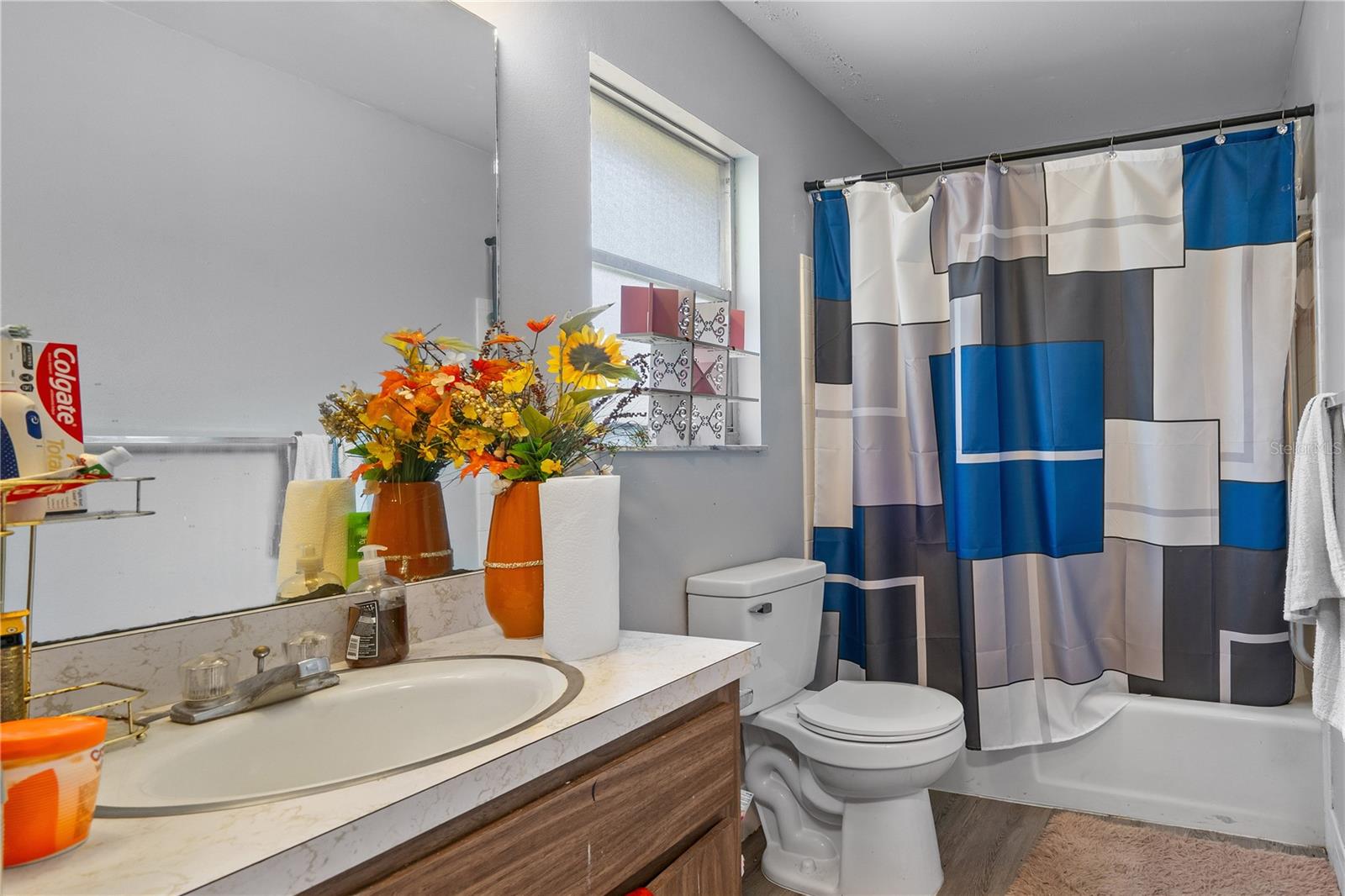 SILVER SPRINGS SHORES - Residential