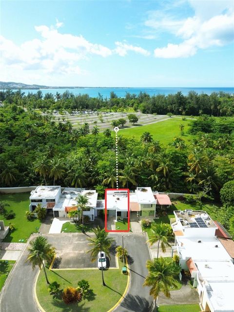 15 PALOMINO LUQUILLO  00773