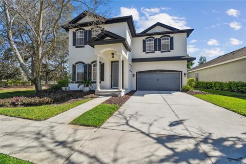 A home in LAND O LAKES