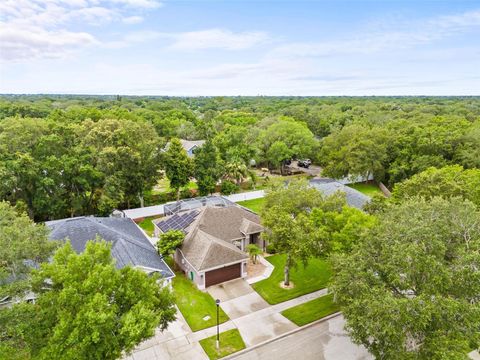 A home in RIVERVIEW