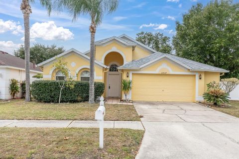 22537 RODERICK DRIVE LAND O LAKES FL 34639
