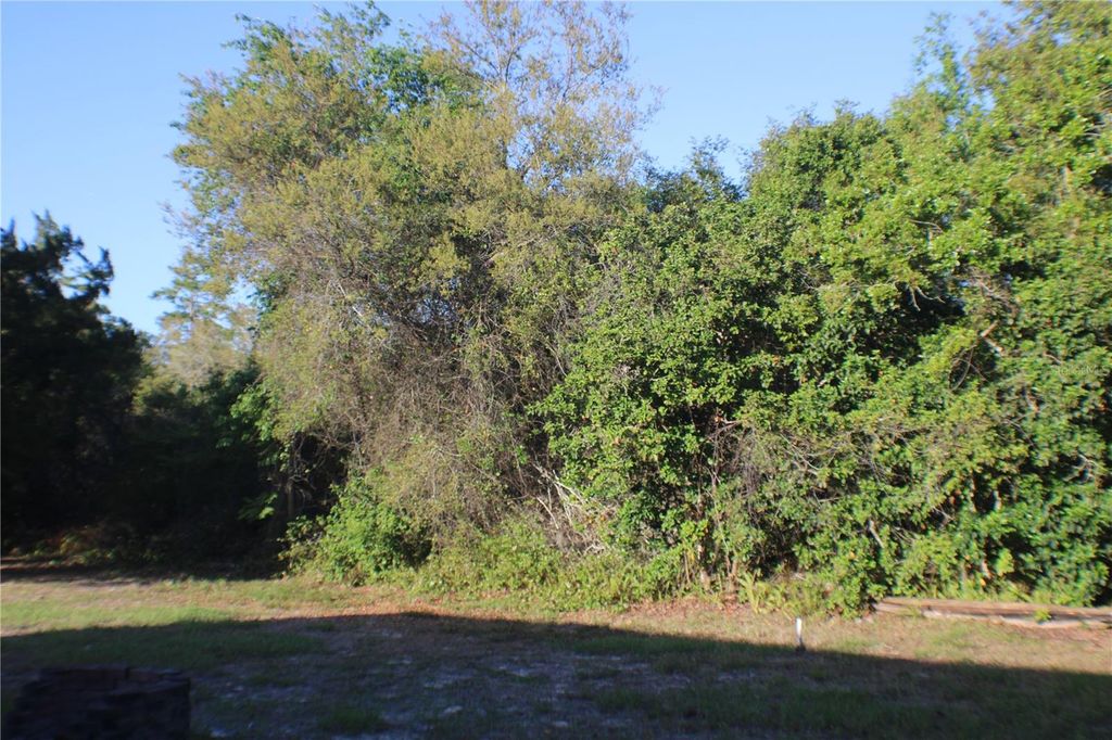 Photo of 3045 Yorkshire Drive, Deltona, FL 32738 (MLS # V4948437)