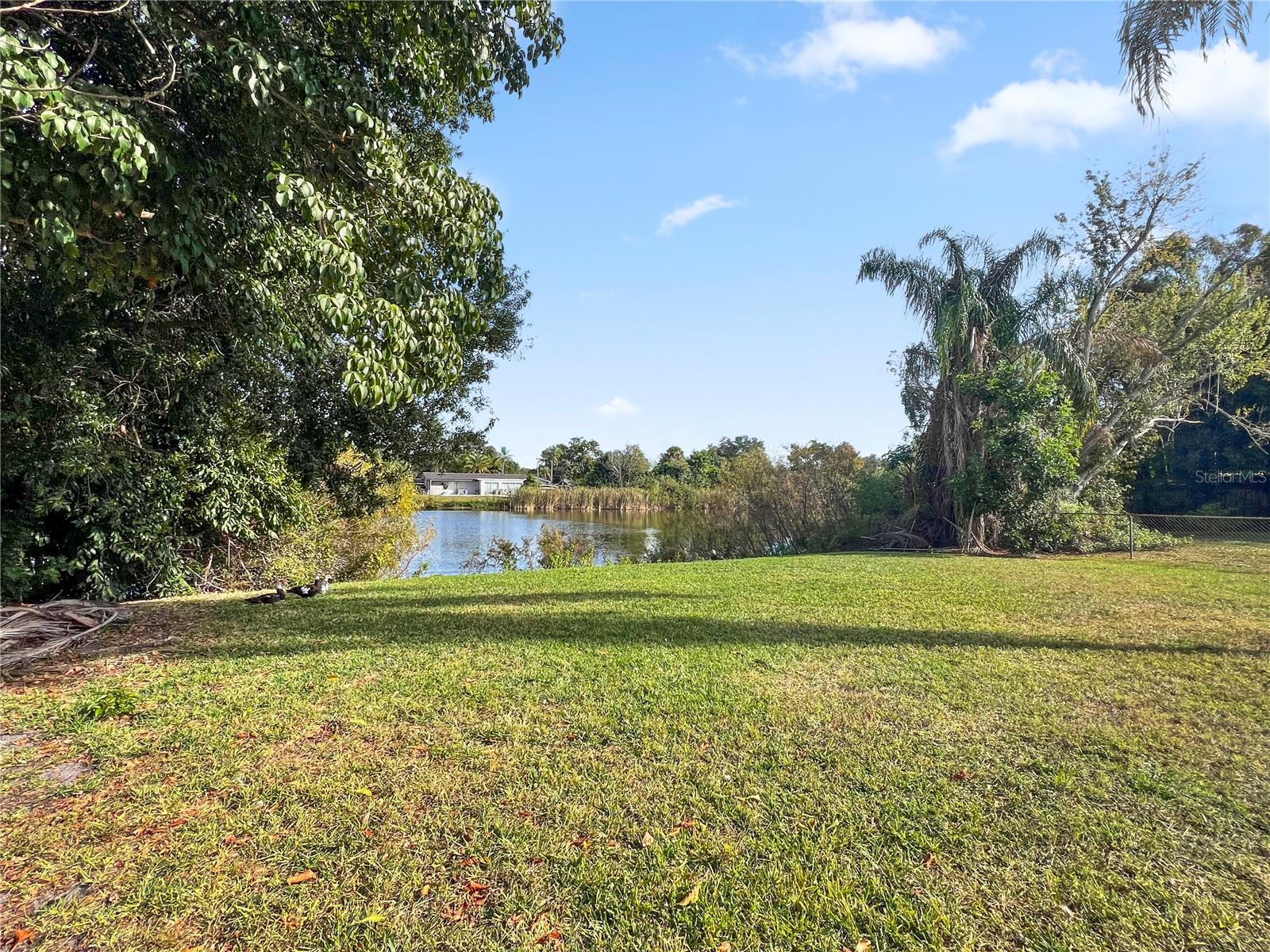 SARASOTA SPGS - Residential Lease