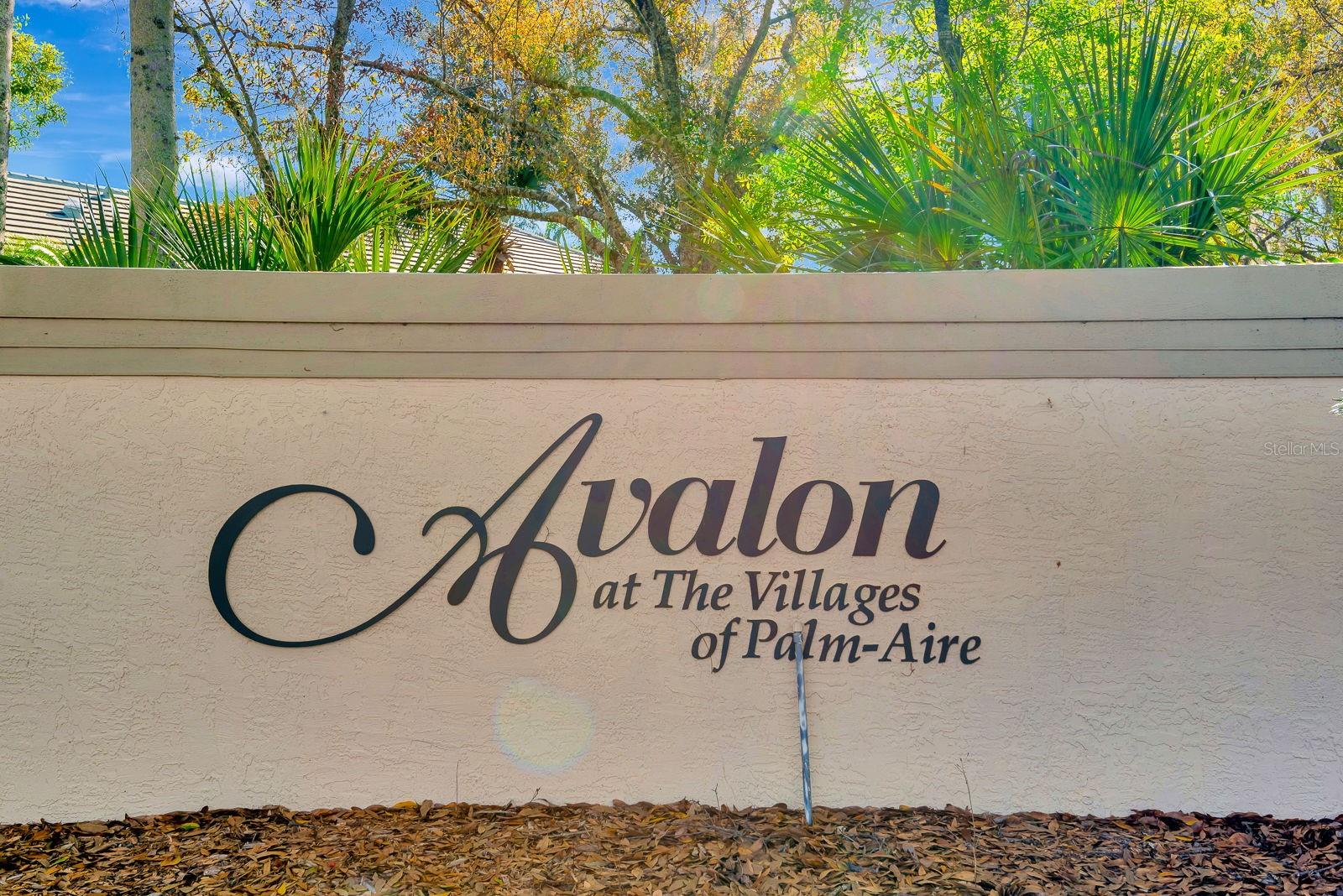 AVALON AT THE VILLAGES OF PALM-AIRE 1 - Residential