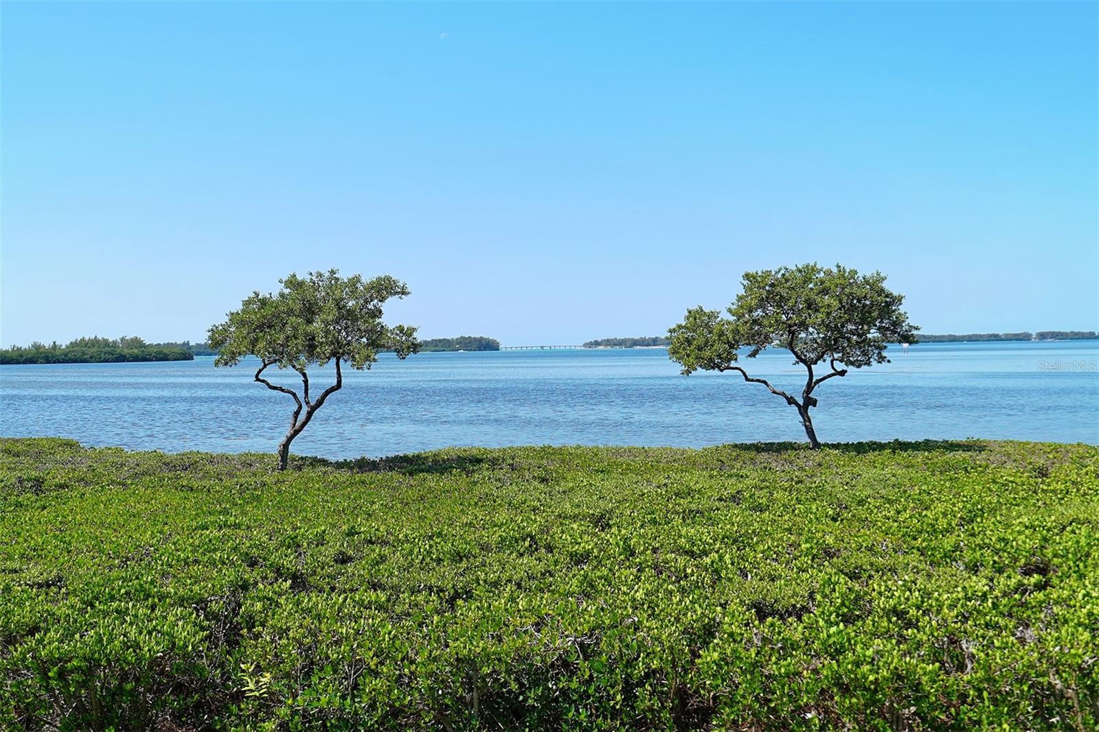 MOUNT VERNON PH 3 - Residential