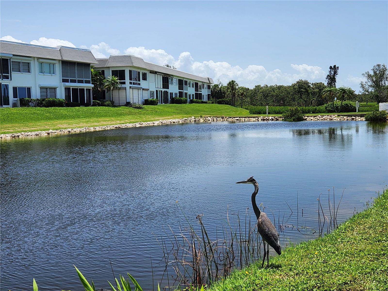 MOUNT VERNON PH 3 - Residential