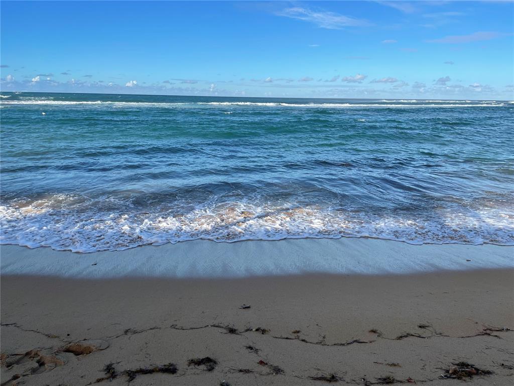 BREÑAS ESTATES-BEACH AMONG DORADO BEACH & NEW RITZ - Residential