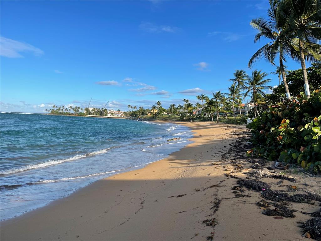 BREÑAS ESTATES-BEACH AMONG DORADO BEACH & NEW RITZ - Residential