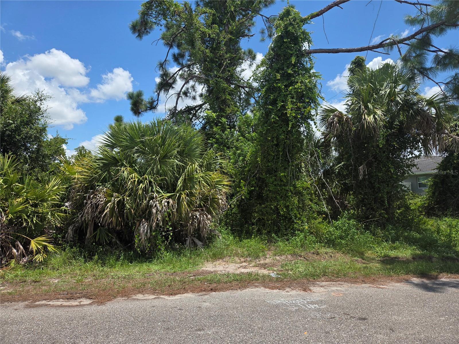 Prime Vacant Lot in Beautiful North Port, Florida
Discover the perfect canvas for your dream home or investment project in one of Florida’s fastest-growing communities. This lush parcel is nestled in a serene and well-maintained neighborhood, where neighbors take pride in their properties.
Property Highlights:
- Located in a quiet, residential area with well-kept homes
- Minutes from shopping, dining, schools, and parks
- Easy access to major highways and Gulf Coast beaches
- Proximity to future developments in a thriving area
North Port is flourishing with new development, making this an ideal time to invest. Whether you're building your forever home or securing land for future growth, this property offers both tranquility and opportunity.
Location: North Port, FL
Lot Type: Vacant Residential Land
Features: Natural foliage, clear skies, and a welcoming community vibe