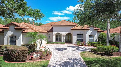 8474 DUNHAM STATION DRIVE TAMPA FL 33647