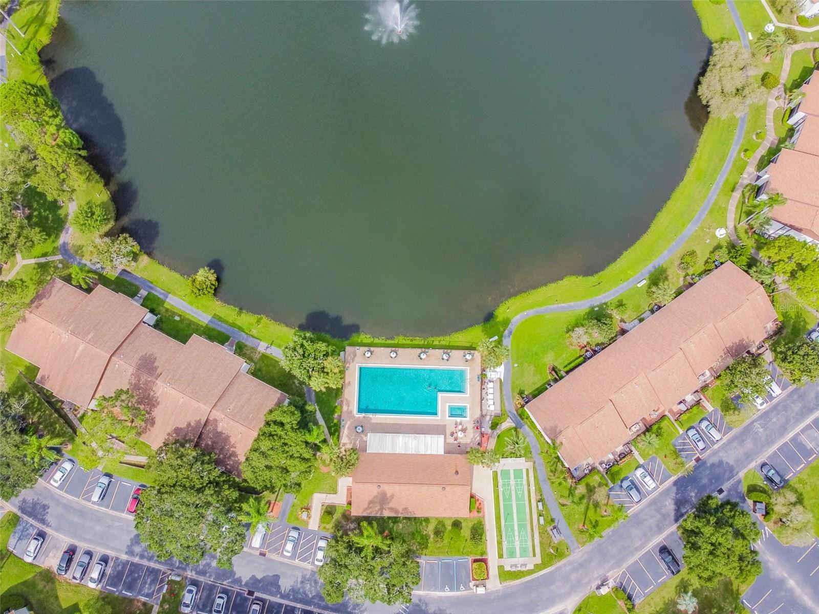 PINE RIDGE AT PALM HARBOR - Residential