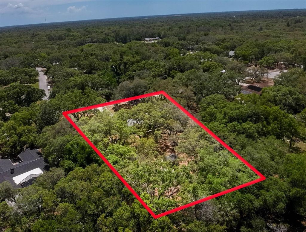 Photo of 12615 Oak Tree Drive, Hudson, FL 34667 (MLS # TB8503103)