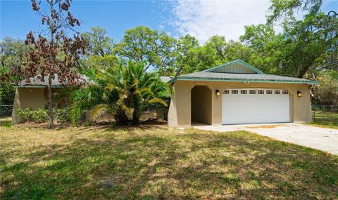 12615 OAK TREE DRIVE HUDSON FL 34667