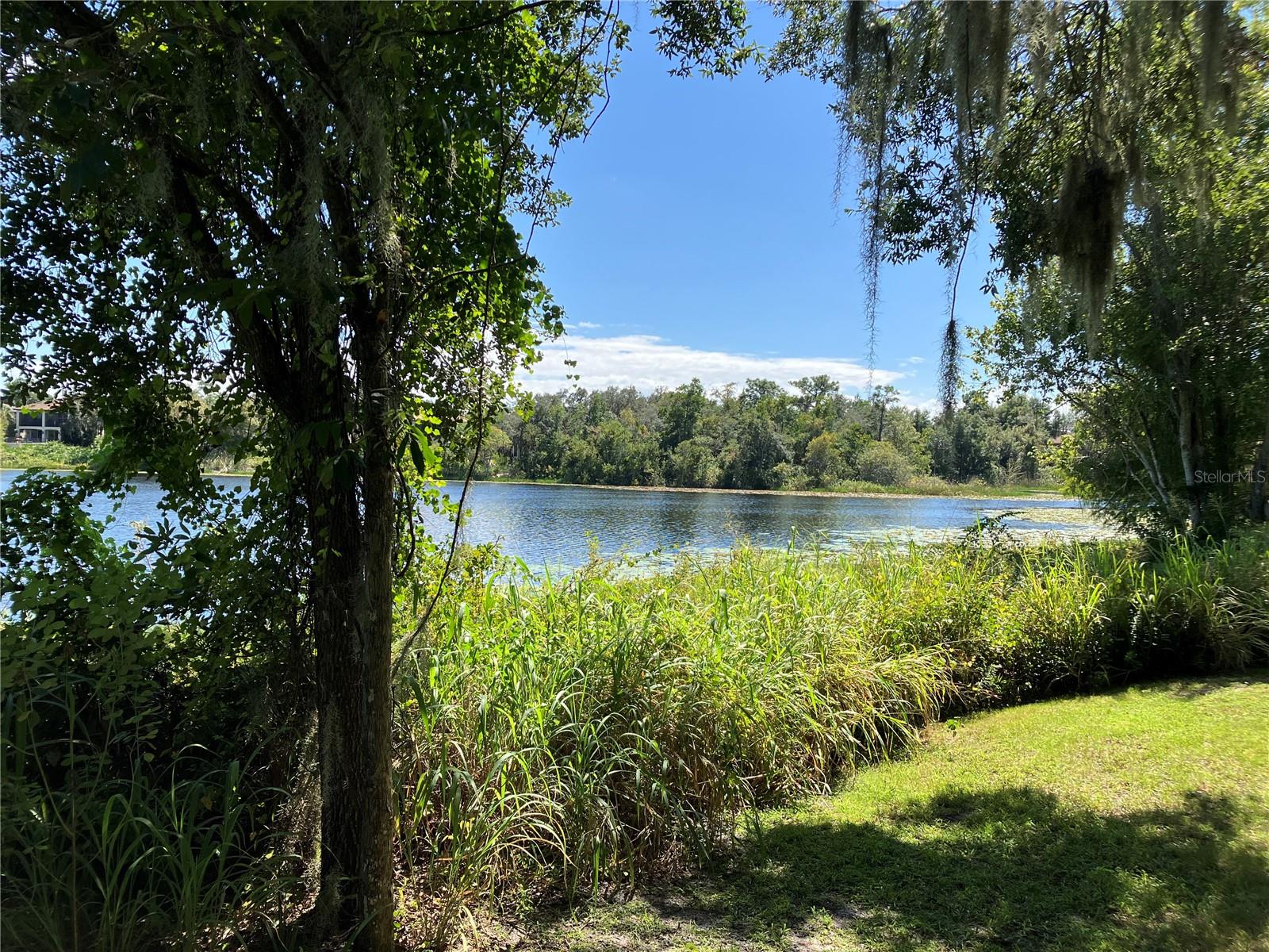 LAKES DELAND PH 02 - Land