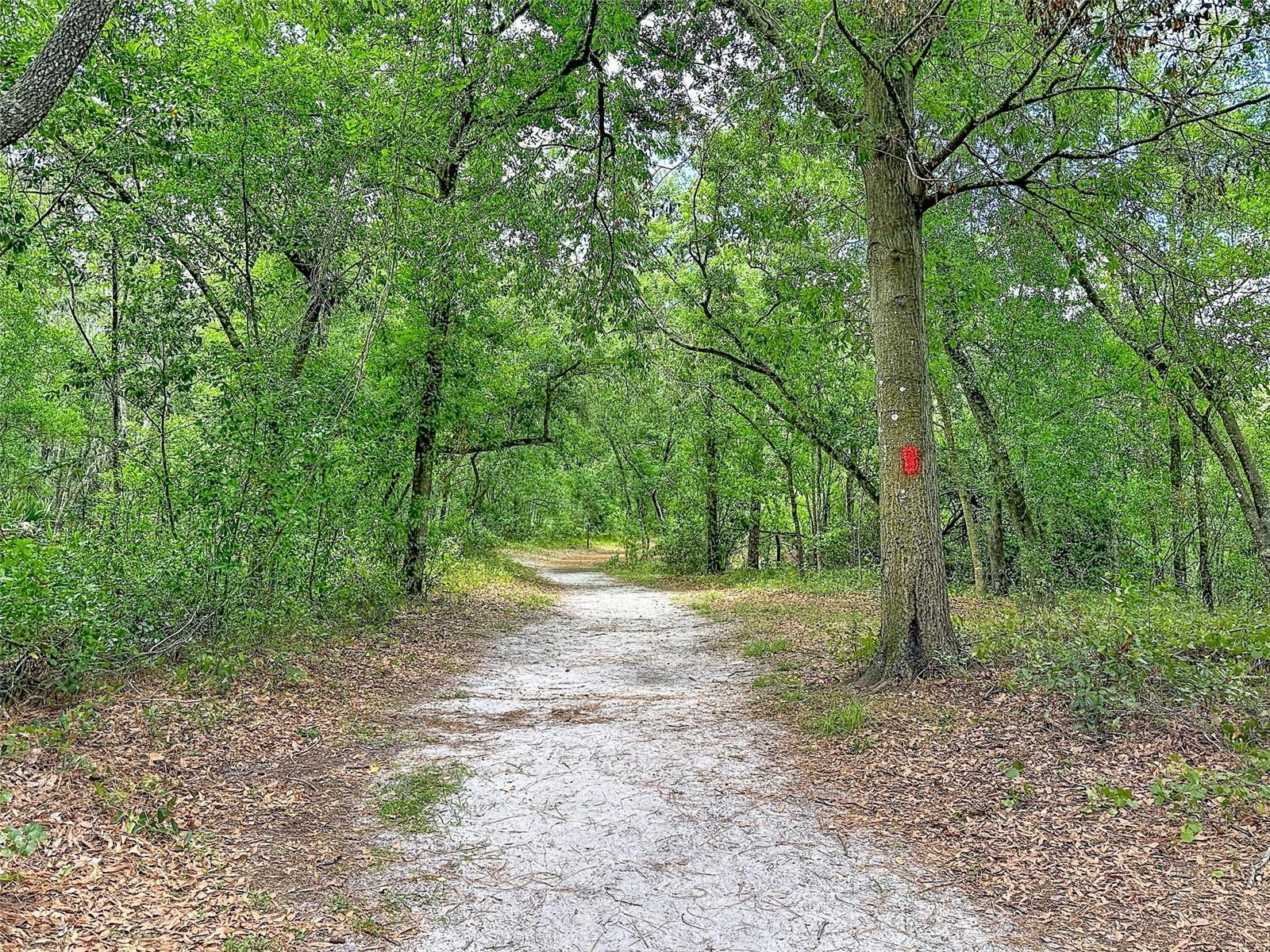 HAMNERS W E WONDERLAND ACRES - Residential
