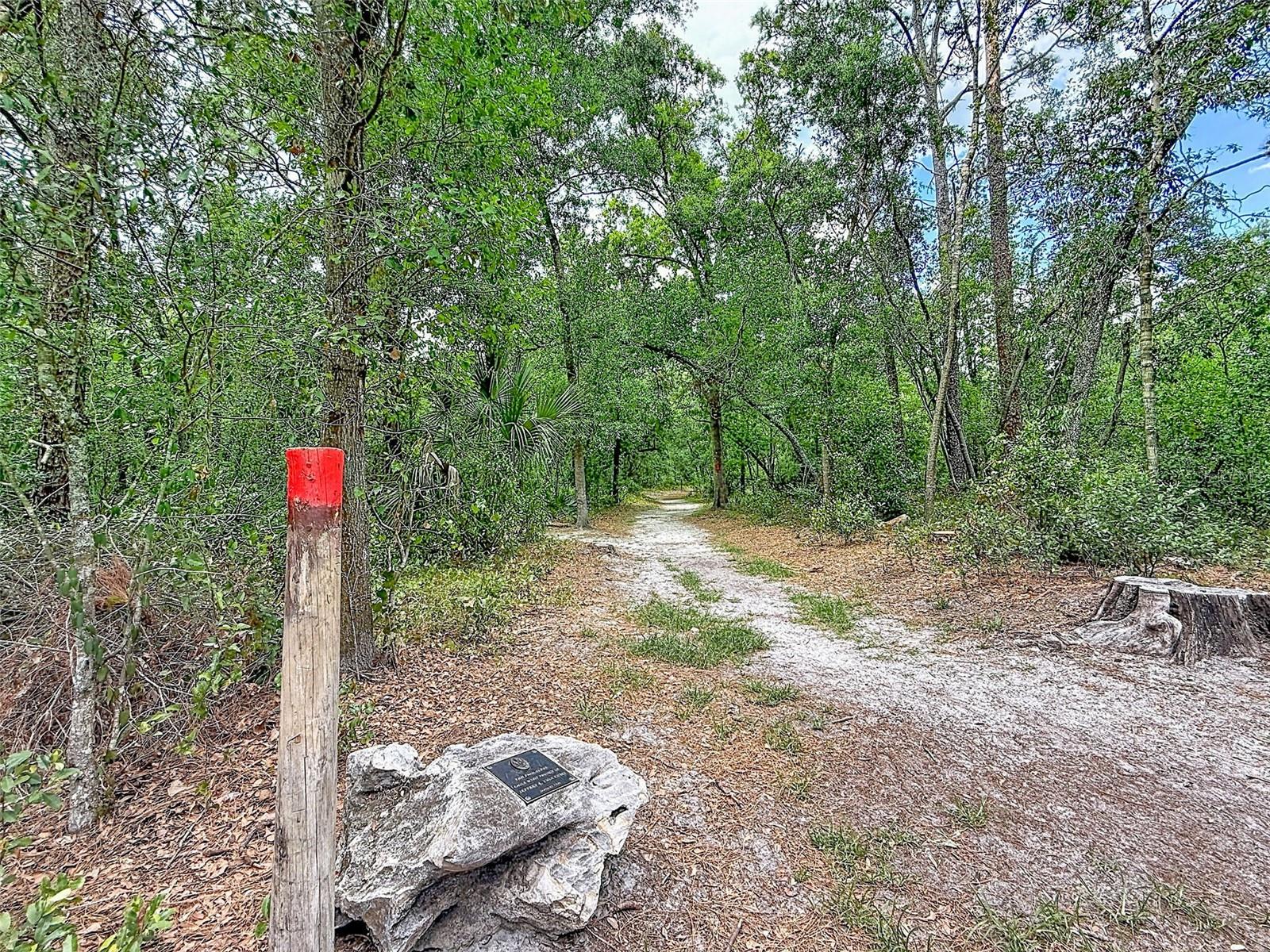 HAMNERS W E WONDERLAND ACRES - Residential