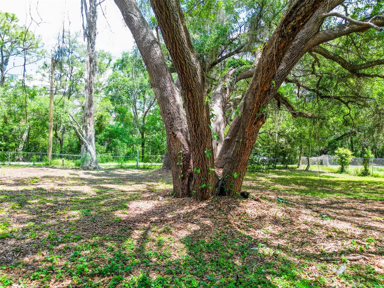 HAMNERS W E WONDERLAND ACRES - Residential