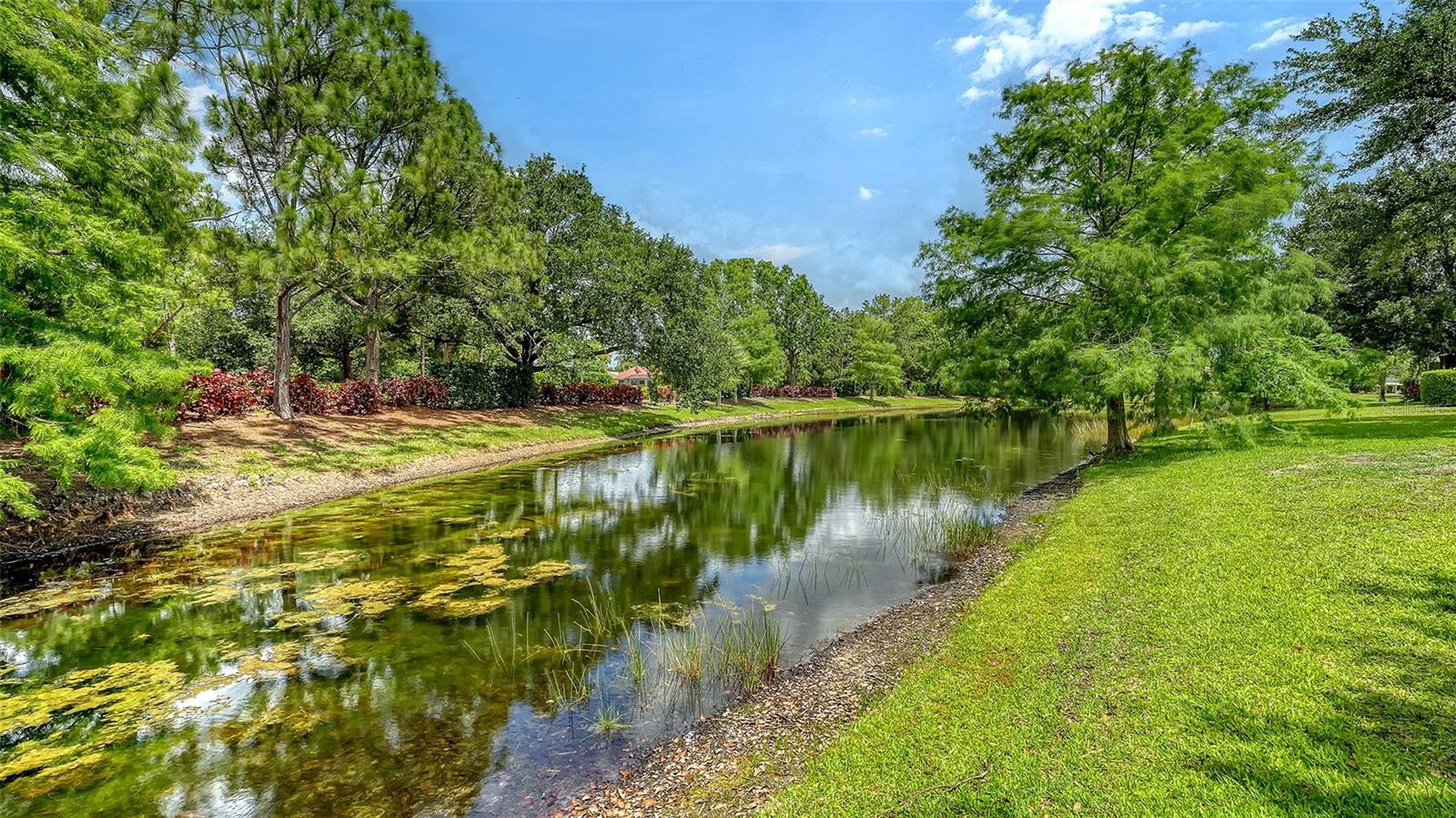 LAKEWOOD RANCH COUNTRY CLUB VILLAGE L, M, N&O - Residential