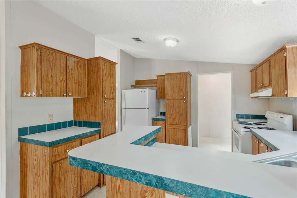 Photo of 5703 Luckasavage Road, Plant City, FL 33567 (MLS # TB8515234)