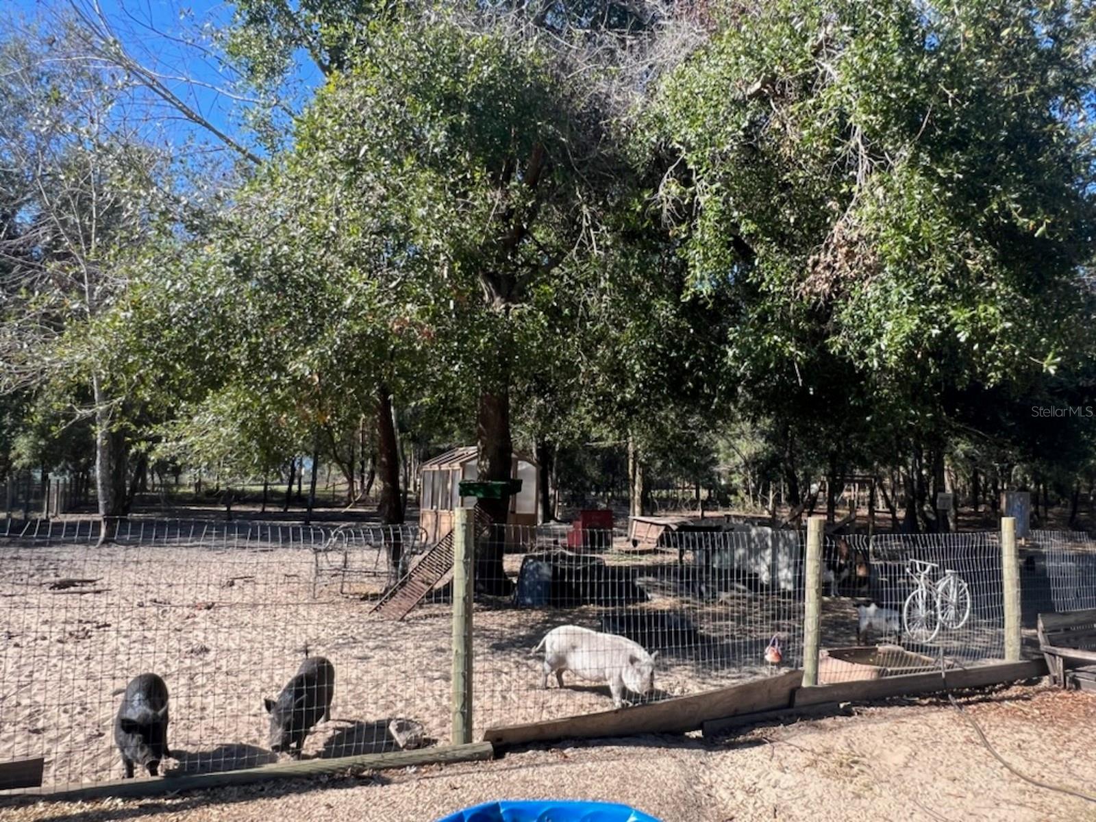 PARKDALE - Residential