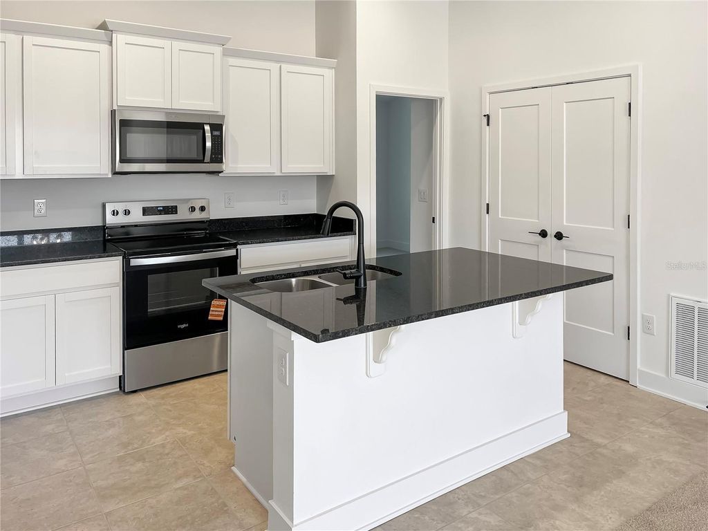 Photo of 263 Verny Grove Ln, Leesburg, FL 34748 (MLS # O6369642)