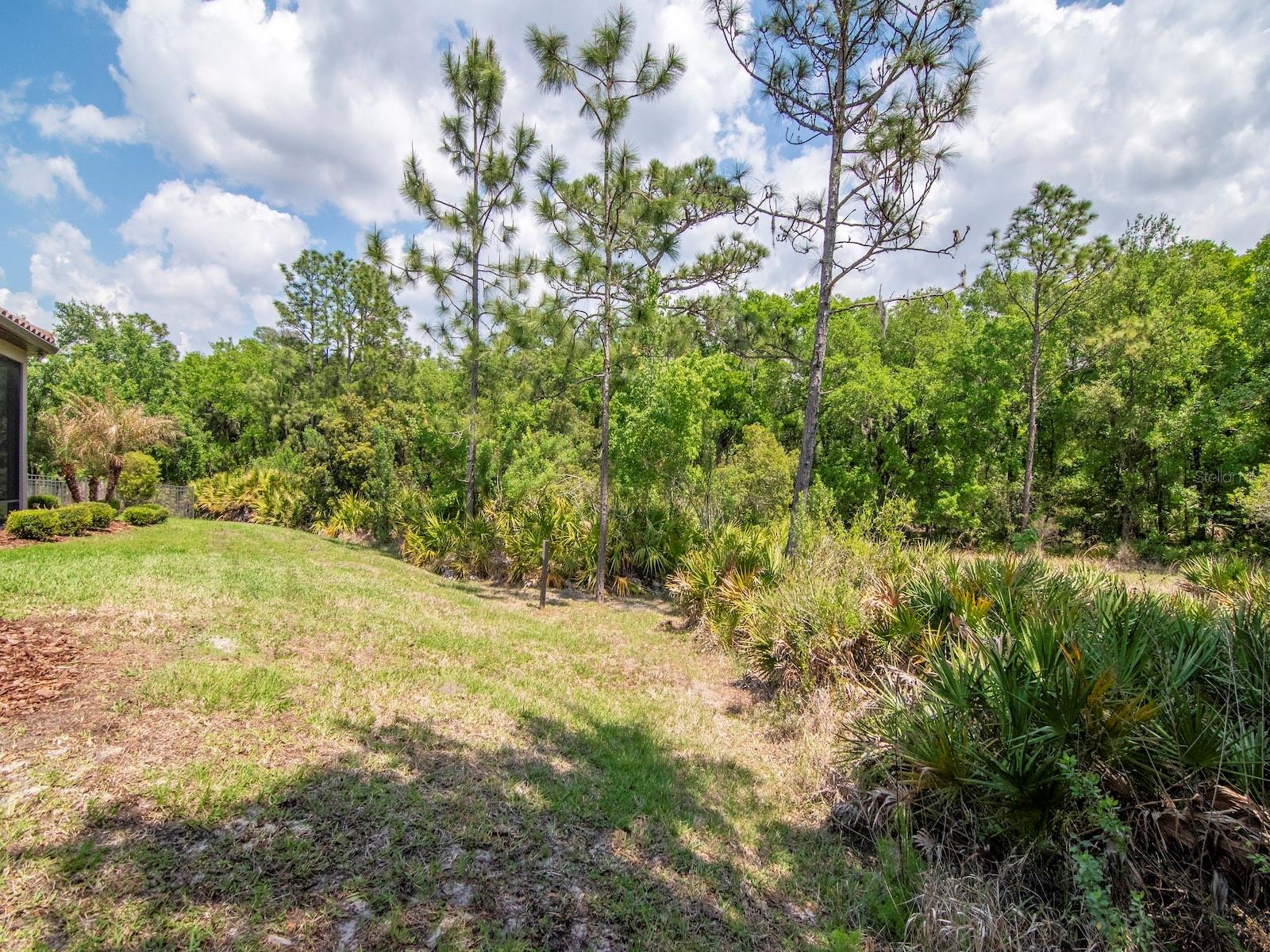 ESPLANADE OF TAMPA PH 2C A - Residential