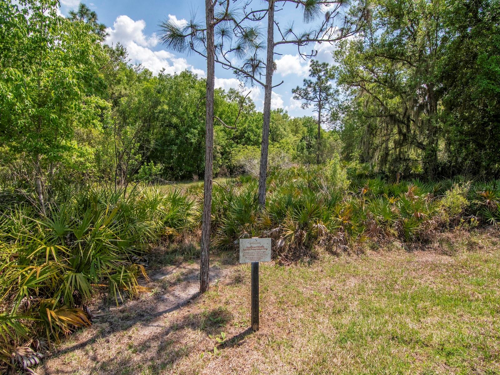 ESPLANADE OF TAMPA PH 2C A - Residential