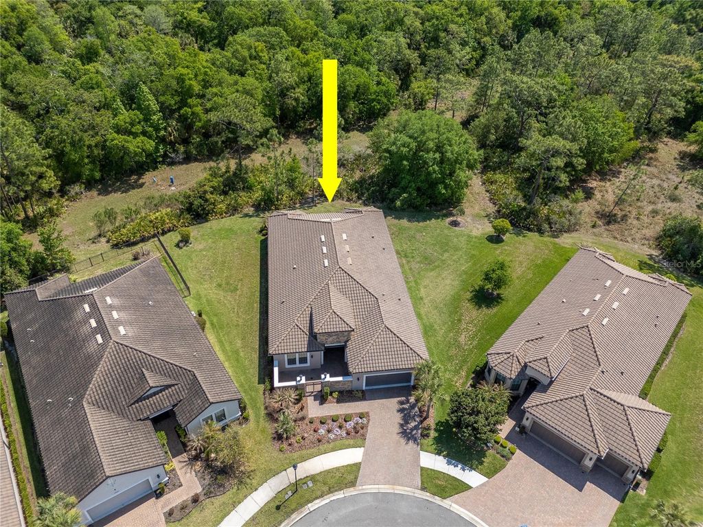 Photo of 20003 Umbria Hill Drive, Tampa, FL 33647 (MLS # TB8488617)