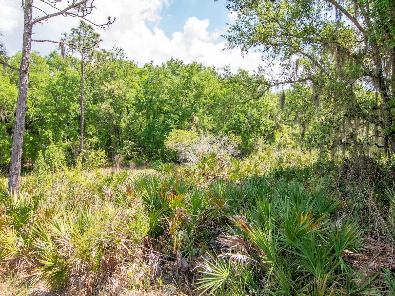 ESPLANADE OF TAMPA PH 2C A - Residential