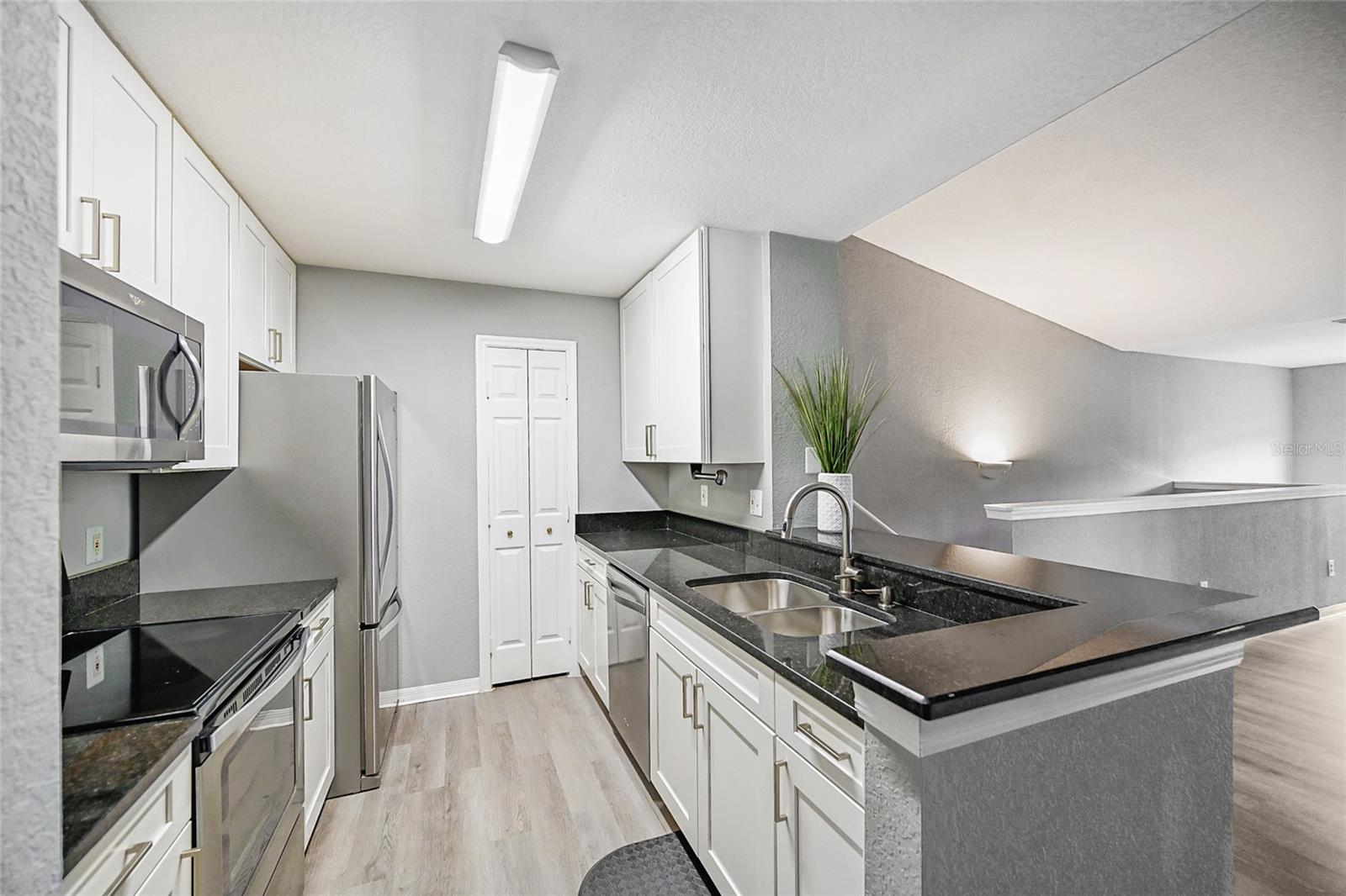 THE VILLAGE AT TOWNPARK - Residential