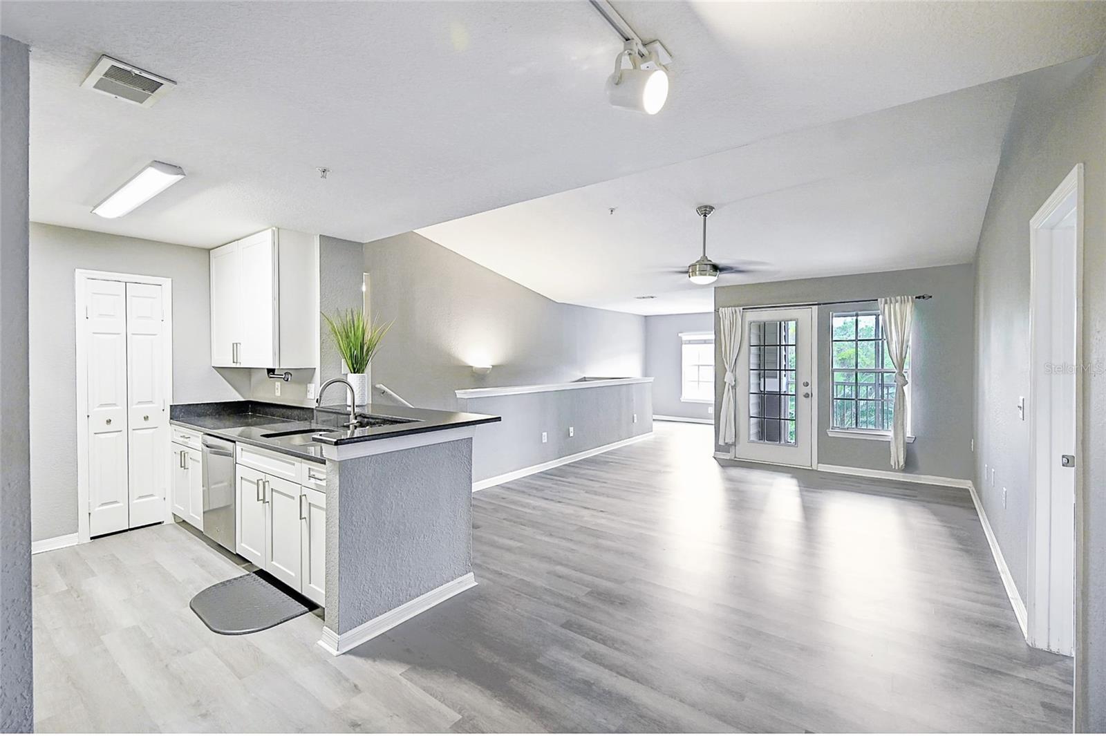 THE VILLAGE AT TOWNPARK - Residential