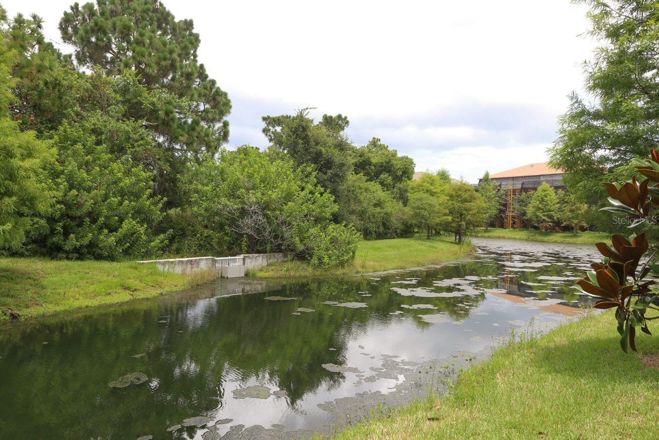 WILLOWBROOK A CONDO PH 5 OR2232/5864 - Residential Lease