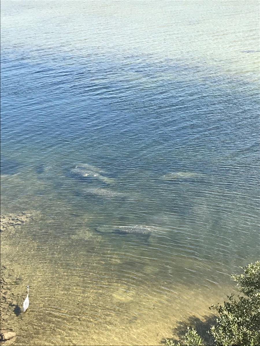 GULF COAST RET - Residential