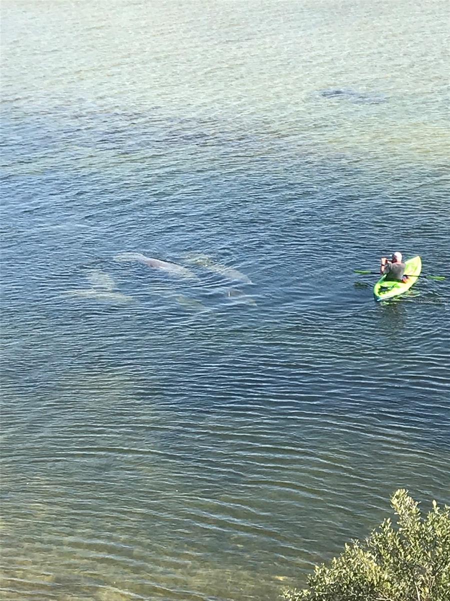 GULF COAST RET - Residential