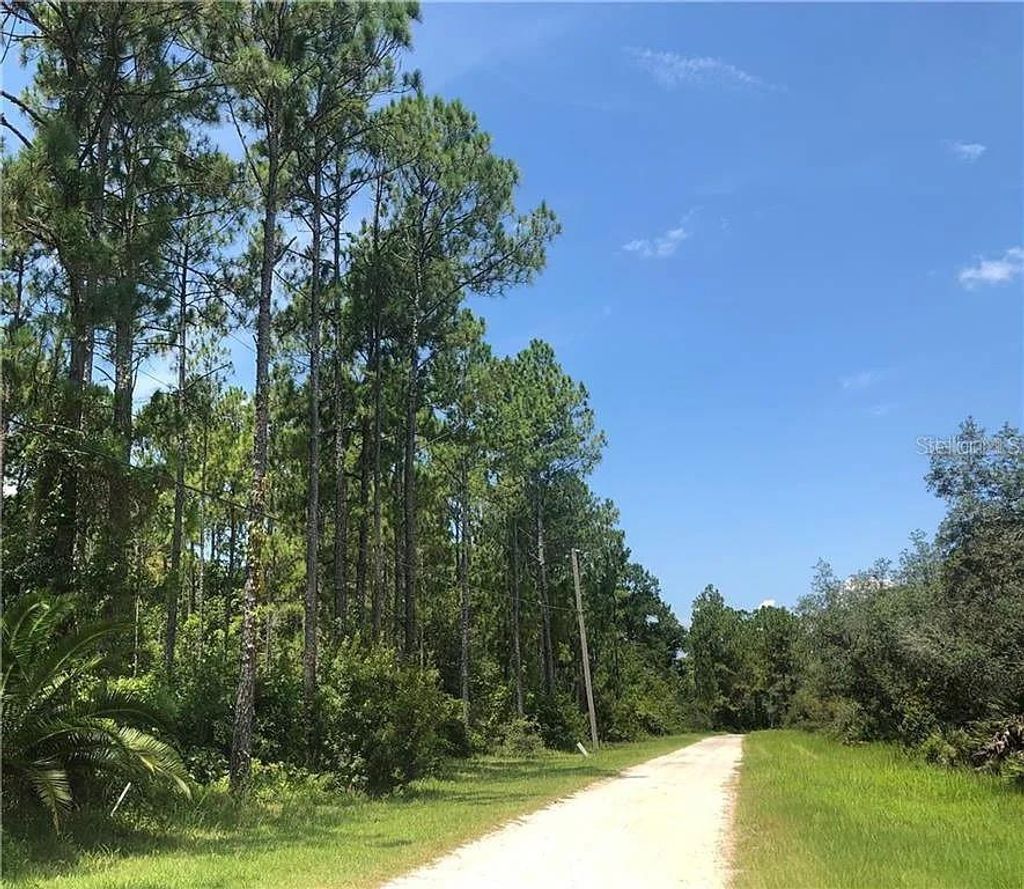 Photo of 0 Thacker Trail, Kissimmee, FL 34747 (MLS # O6420033)