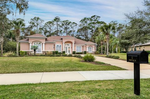 A home in PALM COAST