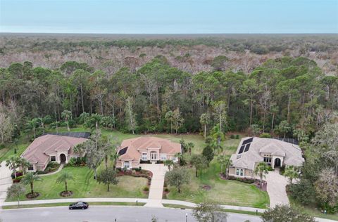 A home in PALM COAST