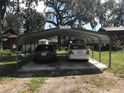 A home in LAKE PANASOFFKEE