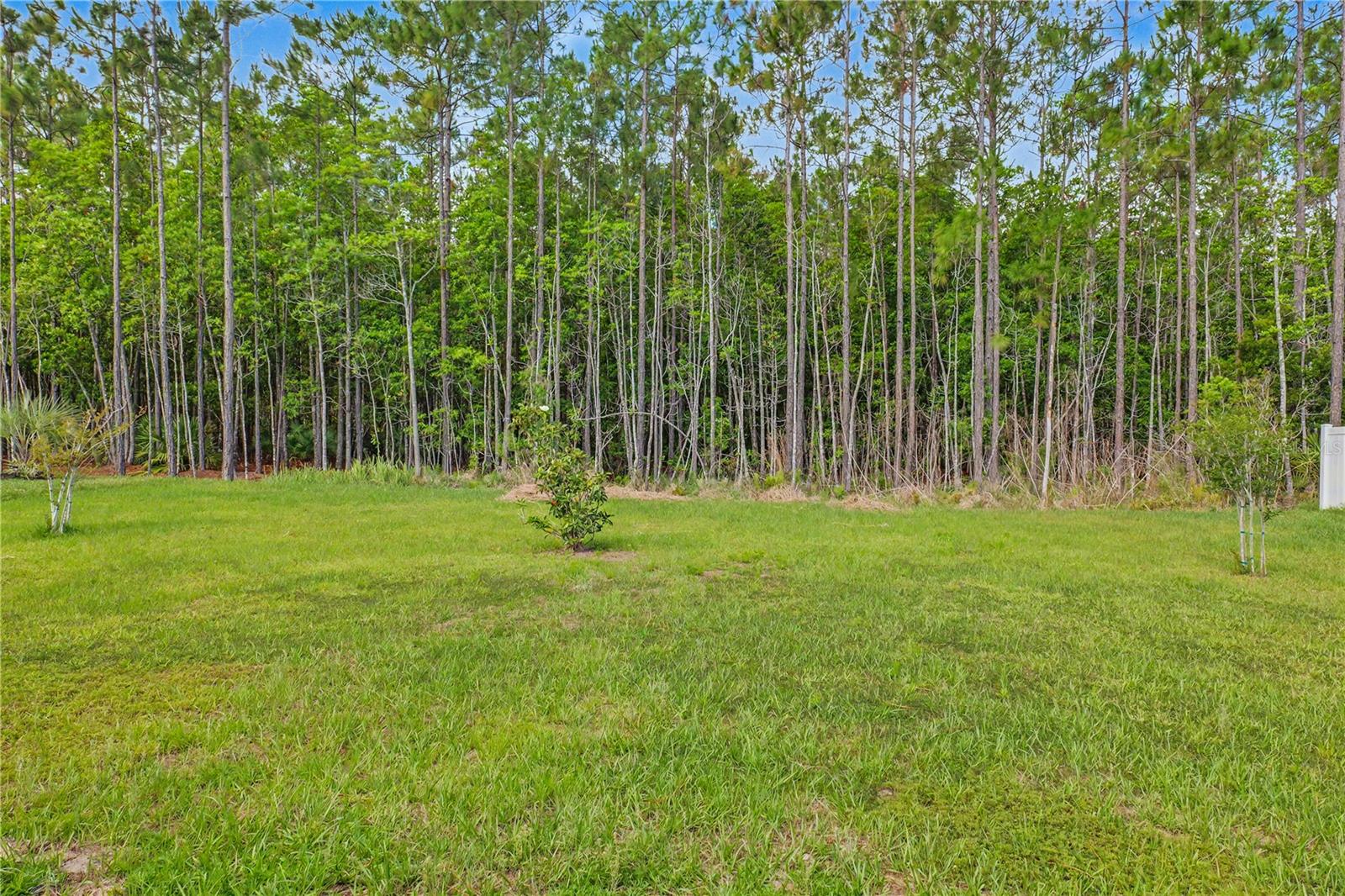 PALM COAST SEC 63 - Residential