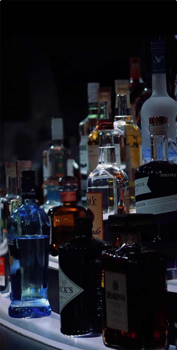 ORIGINAL TOWN ORLANDO - Business Opportunity