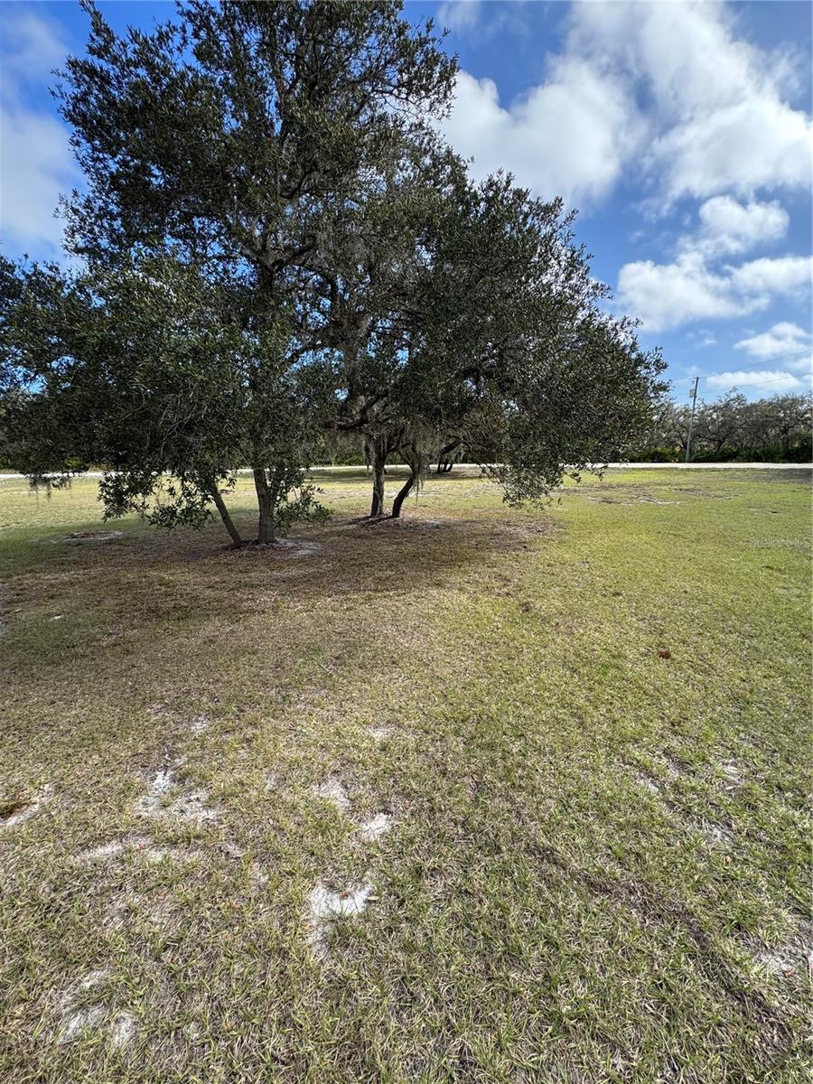 BLUE JORDAN FOREST - Residential