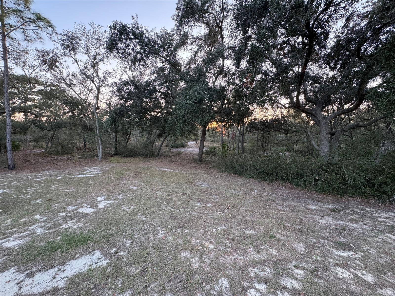 BLUE JORDAN FOREST - Residential